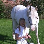 Anden særlig race Oliver
