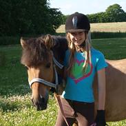 Anden særlig race Anton Gl. part