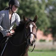 Anden særlig race Chantelle