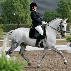 Tysk Sportspony Max 375 R.I.P <3