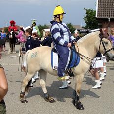 Fjordhest # Capaja #