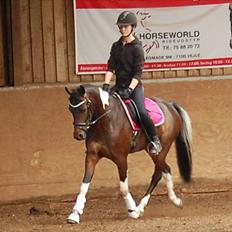 Anden særlig race Penny