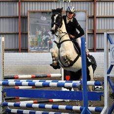 Hollandsk Sportspony Winnetou(SOLGT :D)