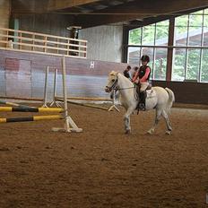 Anden særlig race ivan