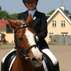 Anden særlig race |Pippi*Aflivet*|