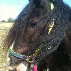 Tinker Lille Per ( gamlePart)