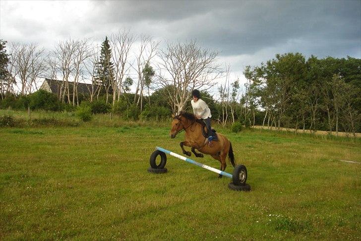Anden særlig race  Kandis  - Du Opfylder mine drømme billede 4