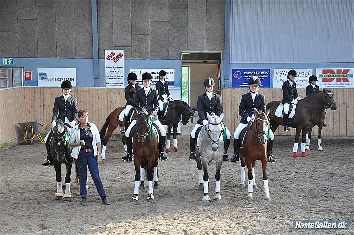 DSP Astaróla - HALV A-PONY - Nr. 5 til DM billede 11