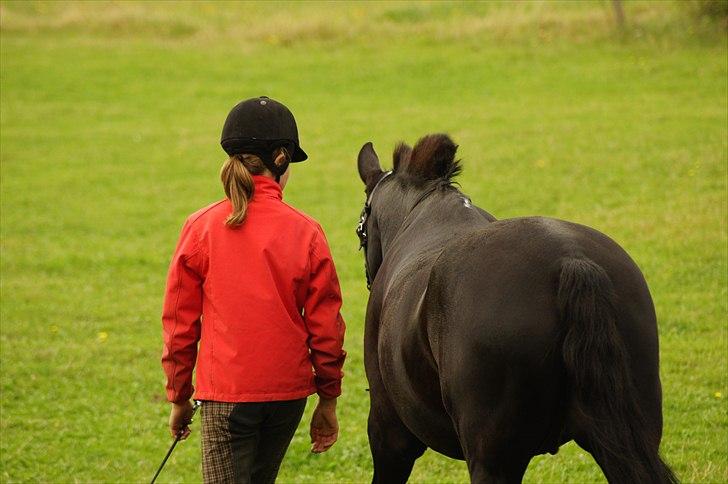 Anden særlig race Avantih <33 billede 19