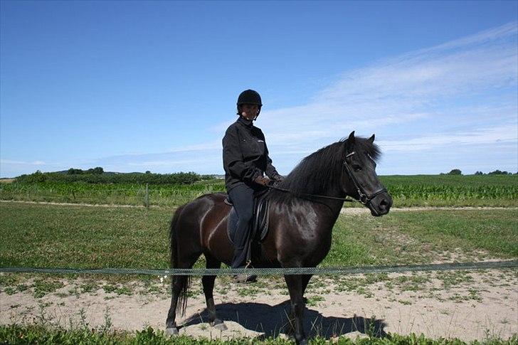 Islænder Assa - vi er så fuckine smukke sammen <3 billede 13