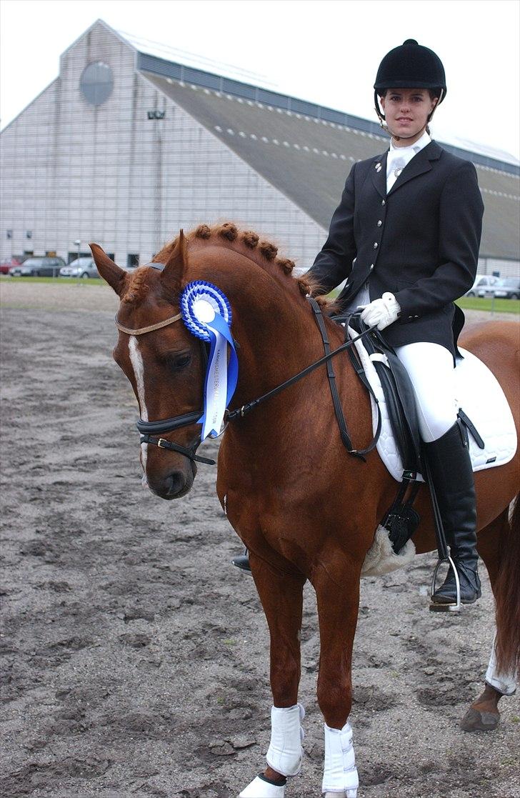 DSP Doran A-pony - Århusmesterskab 2010 - 2 plads i LA 6 med 68,4% og 2 plads i PRI med 68,5% billede 14