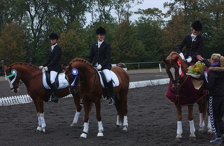 DSP Doran A-pony - Århusmesterskab 2010 -præmieoverrækkelse Sofie & Doran 2 plads billede 15