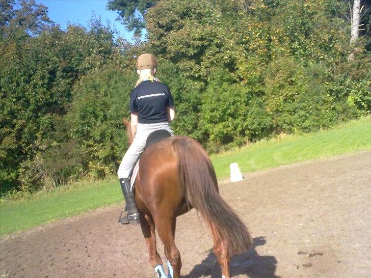 Oldenborg Kubriano langmose - 2 ugers ridning billede 16