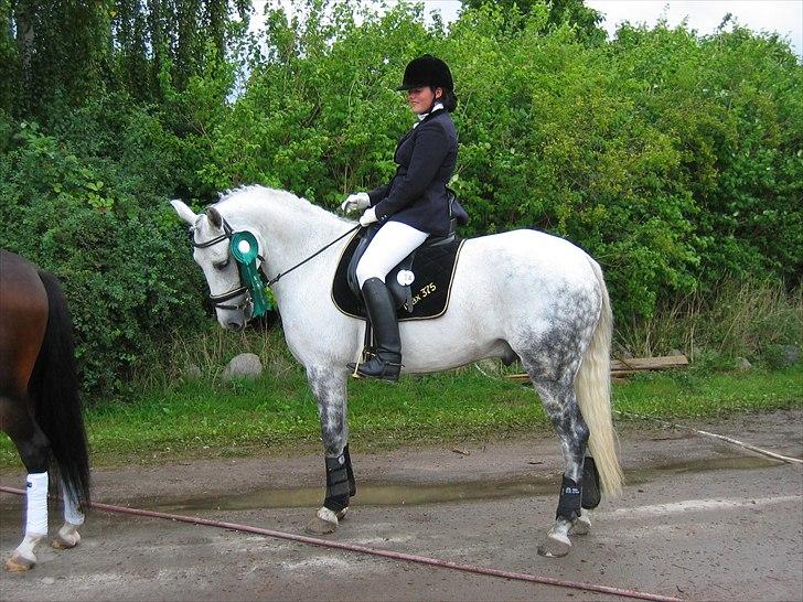 Tysk Sportspony Max 375 R.I.P <3 - Max og jeg vendter på at ride æres-runde til DM billede 3
