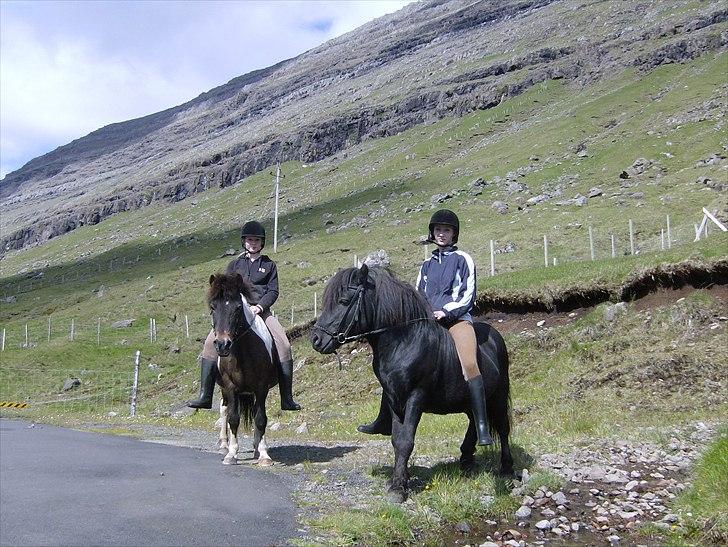 Færøsk hest Tóki [Haft i pleje] - Mig og min søster rider Tóki og Blanka (: | Sommer 2008 billede 2