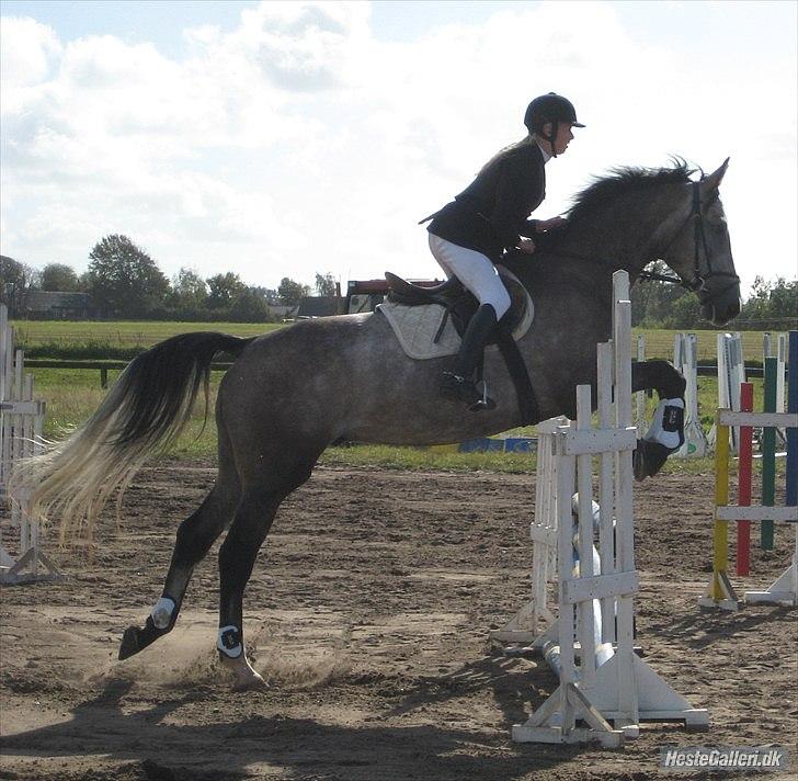 Holstener Charatu. - Velkommen til charatu`s profil ! :D - vores første stævne sammen :) billede 1