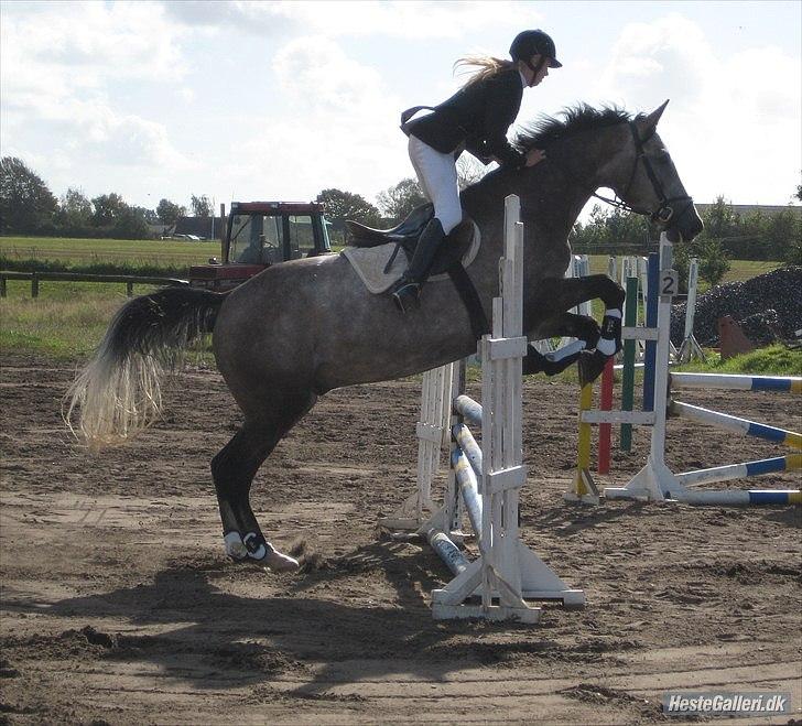 Holstener Charatu. - vores første stævne samme :) billede 2