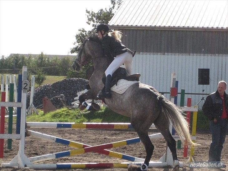 Holstener Charatu. - vores første stævne sammen :) billede 3