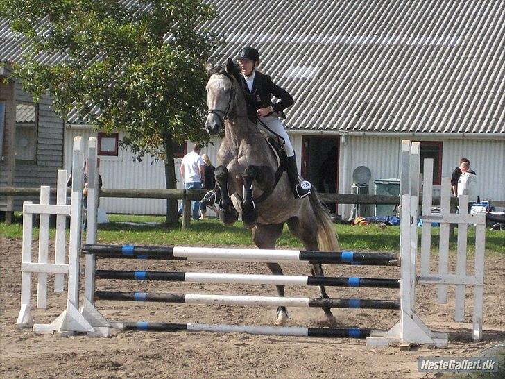 Holstener Charatu. - vores første stævne sammen :) billede 4