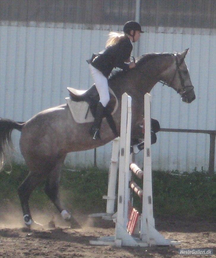 Holstener Charatu. - vores første stævne sammen :) billede 5