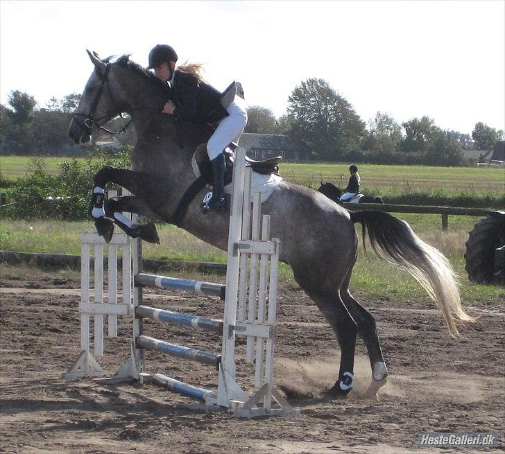 Holstener Charatu. - vores første stævne sammen :) billede 6