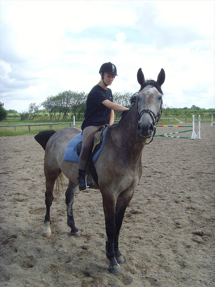 Holstener Charatu. - en af vores første rideture sammen i sommerferien :) billede 10