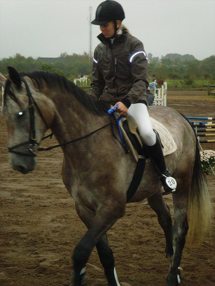 Holstener Charatu. - 2 plads. i LE til vores første stævne sammen :) = lorte vejr! billede 11