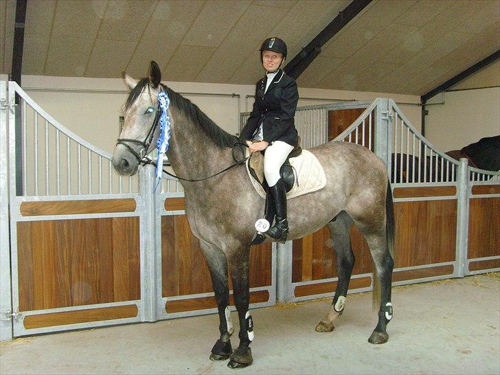 Holstener Charatu. - en meget dygtig, men også træt ung hest efter stævne :) - var stolt af ham! billede 13