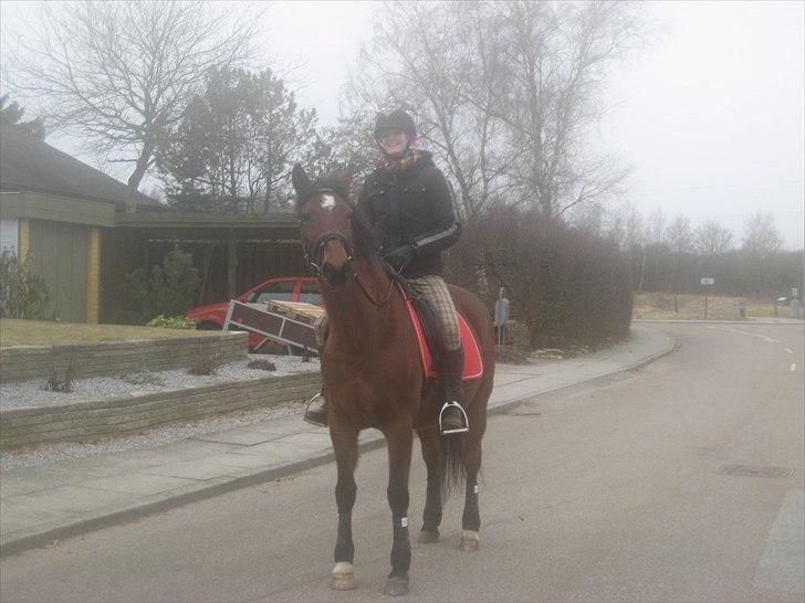 DSP Tavannah - Du er så dejlig min pige. Du betyder alt! billede 11