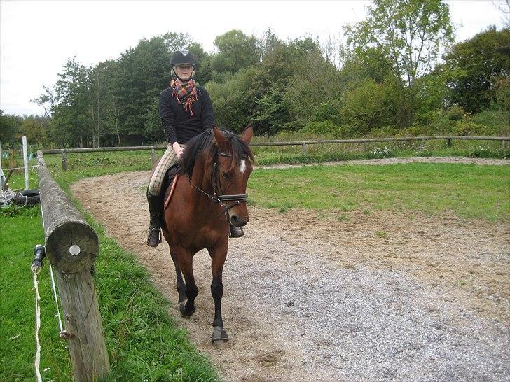 DSP Tavannah - Du er bare såå dygtig! billede 12