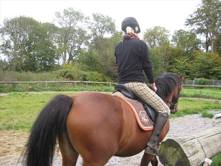 DSP Tavannah billede 13