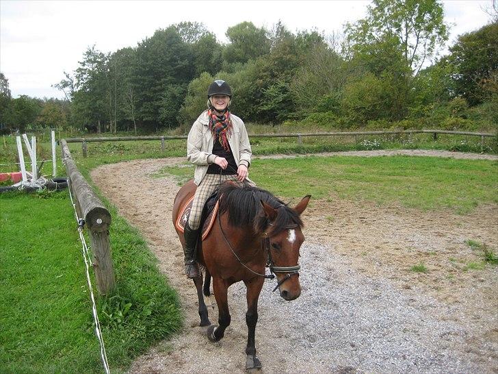 DSP Tavannah billede 14