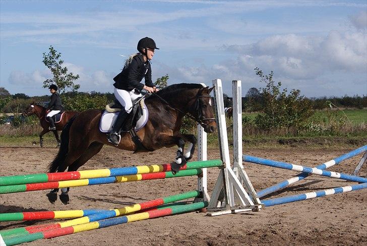 DSP Caliope billede 15