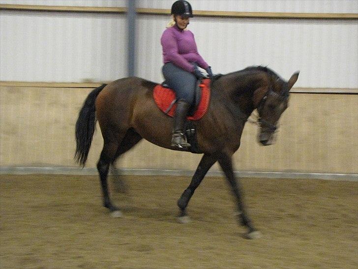 Anden særlig race KONGELUNDENS SMILLA billede 9