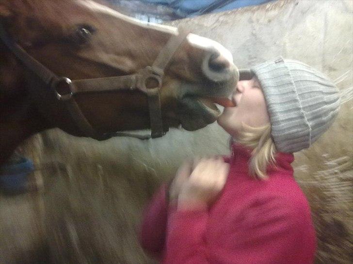 DSP Stenbakkegårds Chicago - Møs ;*  billede 10