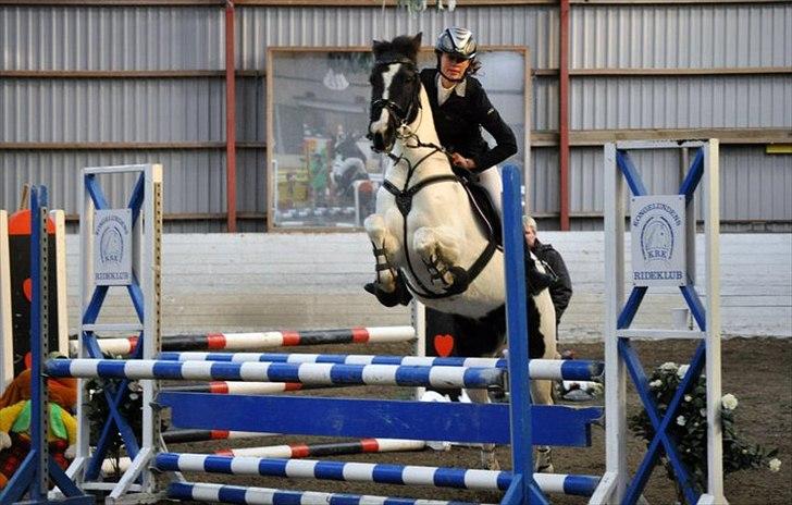 Hollandsk Sportspony Winnetou(SOLGT :D) - Fejlfri LA Kongelunden billede 1