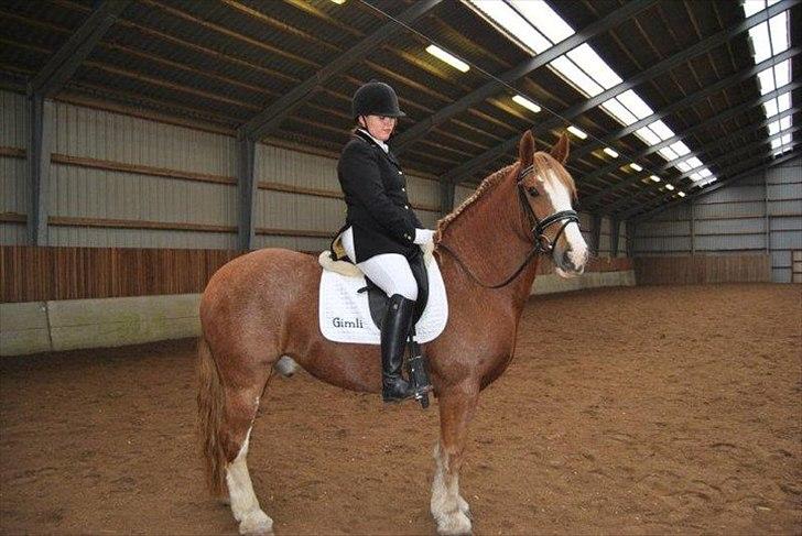 Irish Cob Gimli (Valdemar) (Himmelhest) - Stævne 25-26 sep 2010 - Tina og jeg billede 11