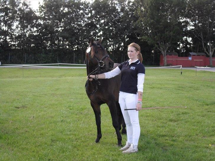 DSP Moonjam´s Mr. Sunshine billede 9