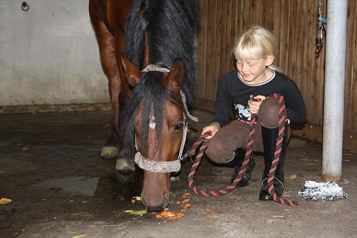 Anden særlig race Kurt Russell - hans 5 års fødselsdag billede 7