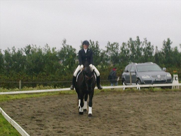 Frieser Quinzi - Vores første stævne 26.09.2010.- En meget dygtig hest:o) billede 16