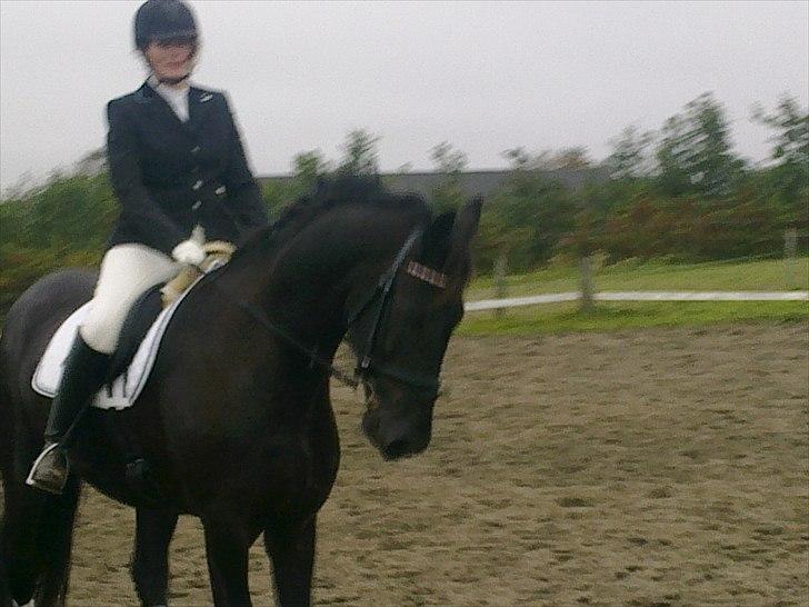 Frieser Quinzi - Et billede mere fra Quinzi´s første stævne billede 17