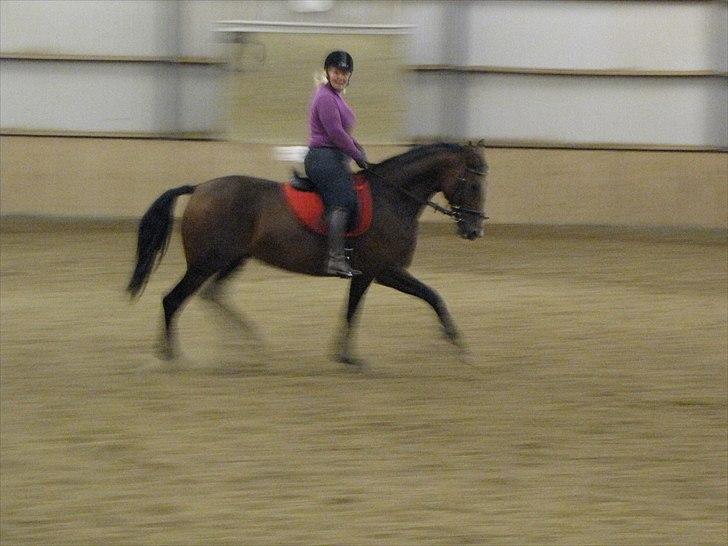 Anden særlig race KONGELUNDENS SMILLA billede 10