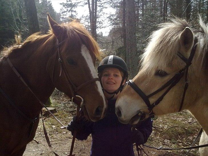 Anden særlig race Joyau De Linkey (Linki) - Linki og min anden dejlige pony Laban<3  billede 10