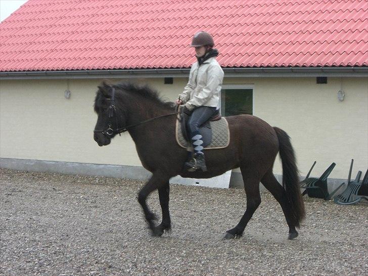 Islænder Hekla - Mig på Hekla :D billede 16