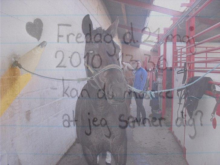 Anden særlig race Fantasy - Fredag d. 21 maj 2010 13.30 ca. - kan du mærke at jeg savner dig? [redigeret: Mig.] billede 8