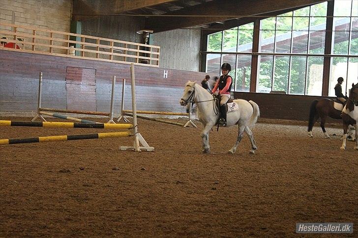 Anden særlig race ivan billede 3