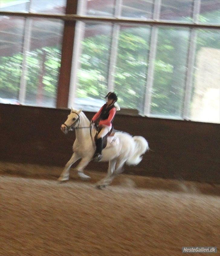 Anden særlig race ivan billede 4