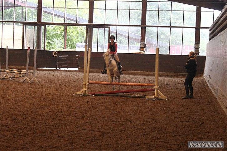 Anden særlig race ivan billede 5