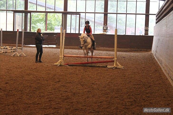 Anden særlig race ivan billede 6