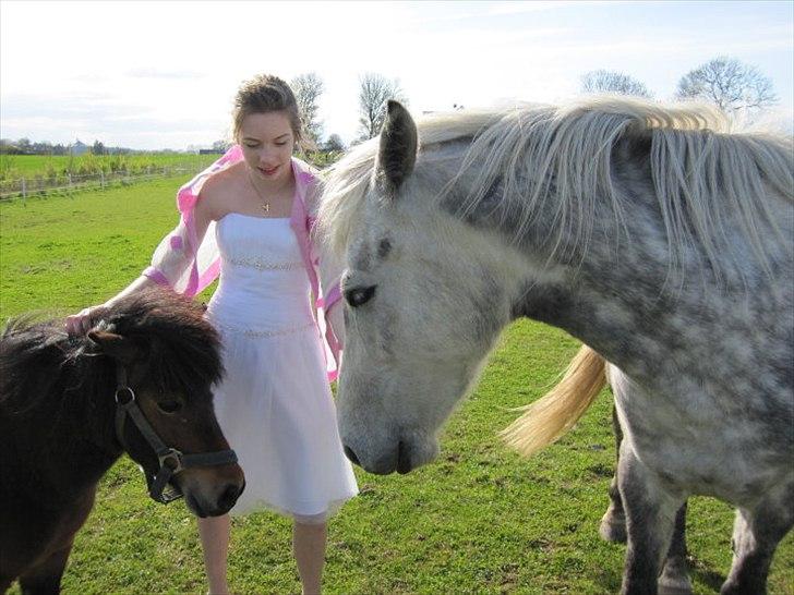 Anden særlig race Lucky Miss Rosie - Mig, Lucky og Blomst til min konfirmation :D billede 3